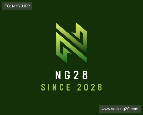 关于NG28
